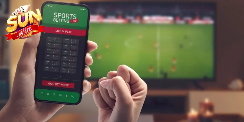 Cá Cược Bóng Đá Tại Sunwin Liền Tay, Thắng Liền Hôm Nay 1 ca-cuoc-bong-da